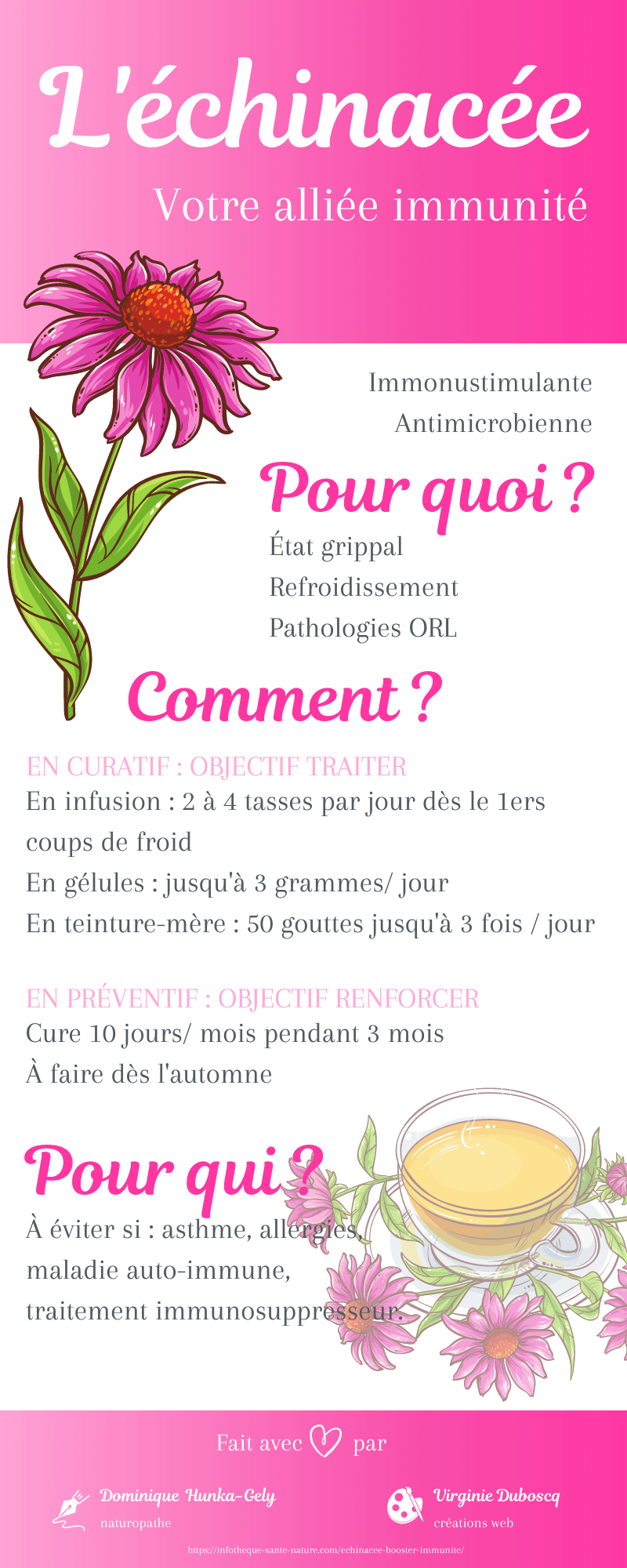 echinacee plante booster immunite infographie