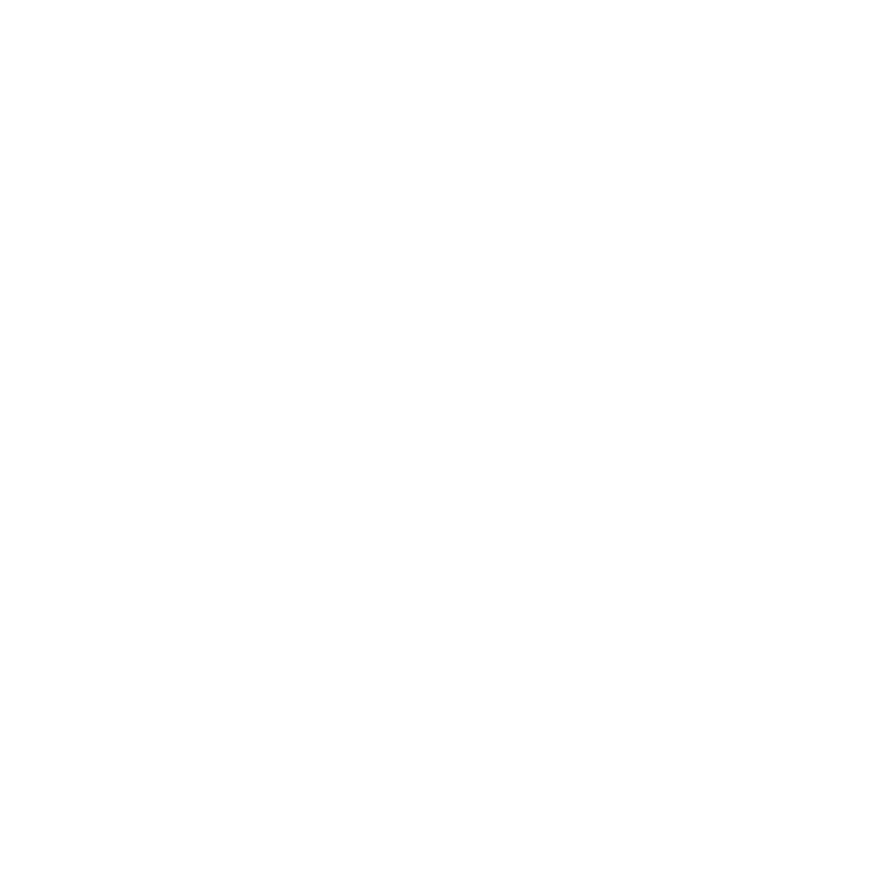 logo blanc