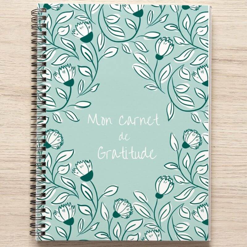 carnet de gratitude visuel page d accueil
