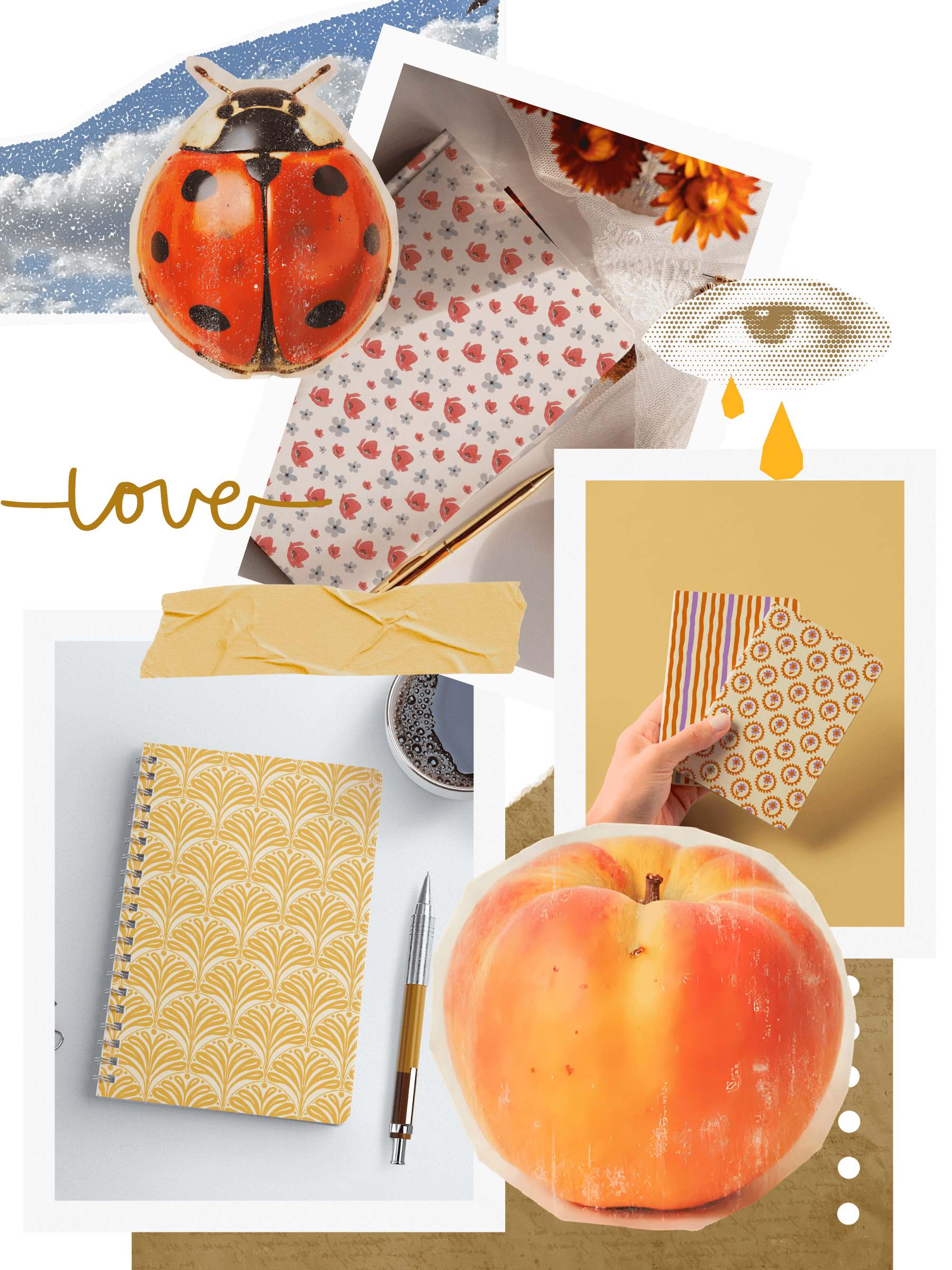 carnet suivi therapeute sur mesure collage