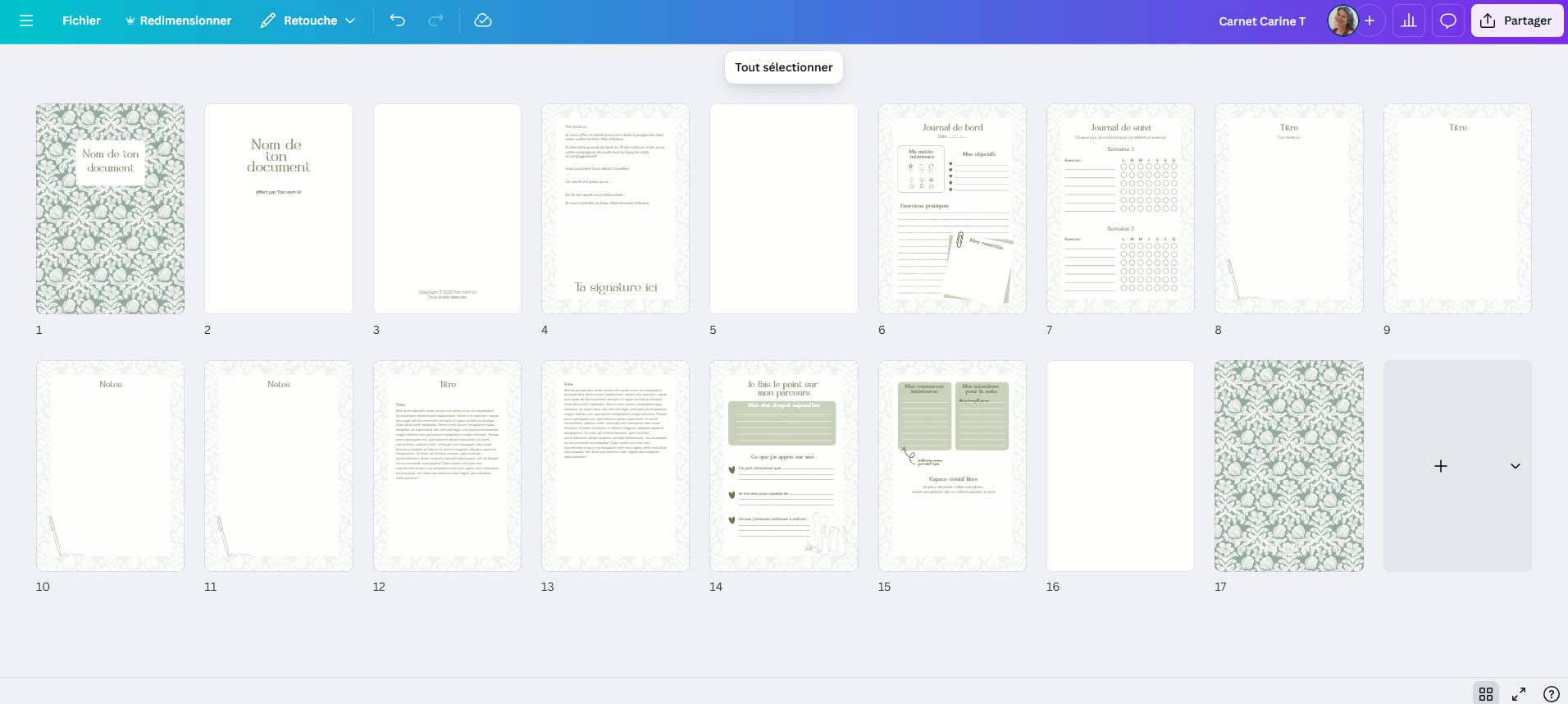 carnet suivi therapeute sur mesure exemple