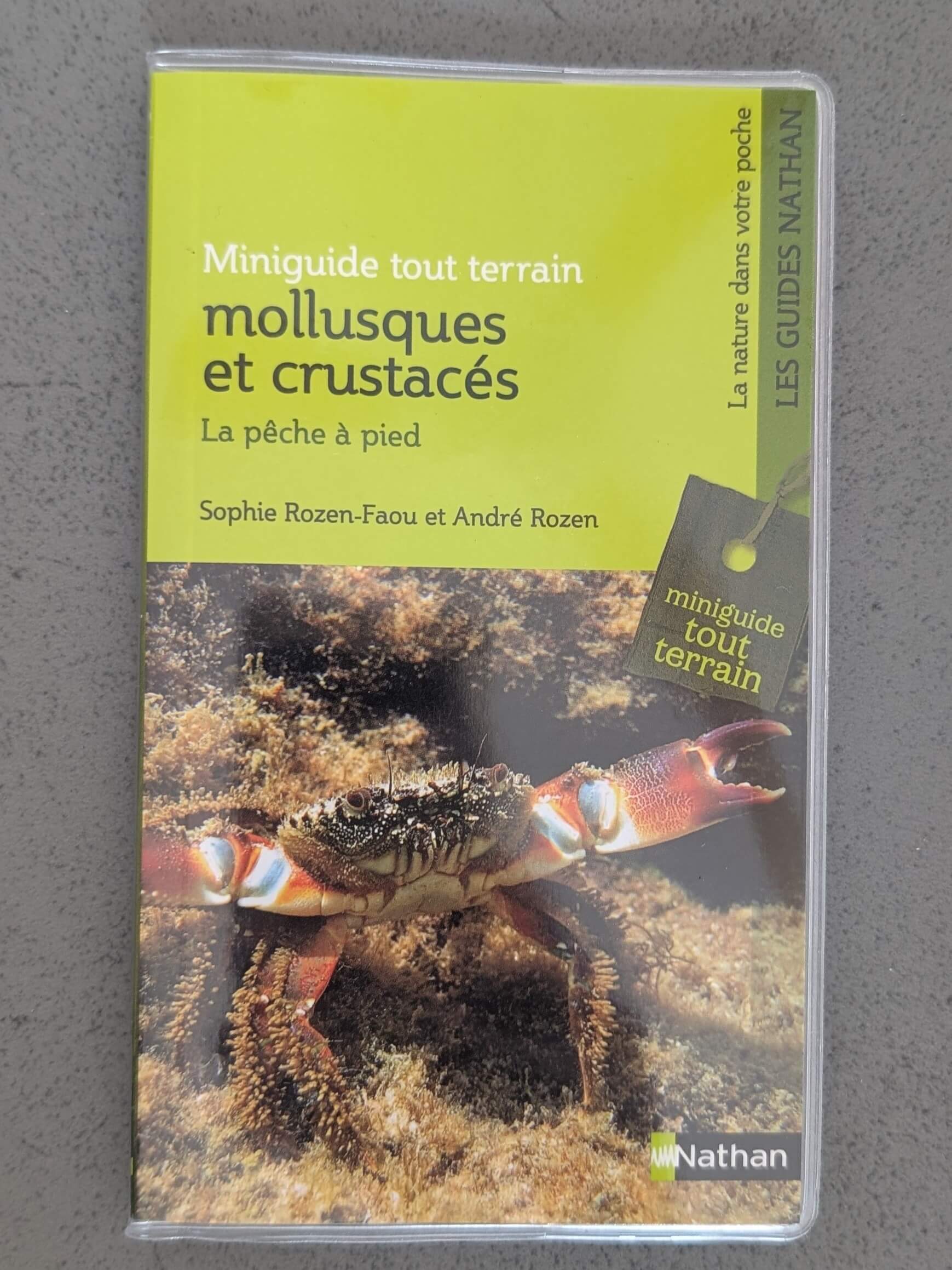 exercice ecriture livre tire hasard