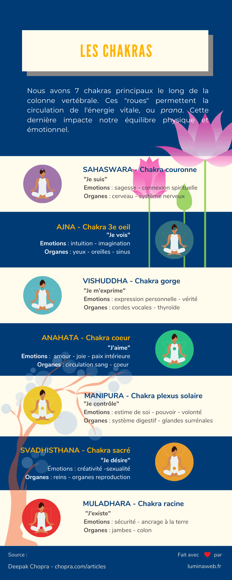 virginie duboscq infographie chakras